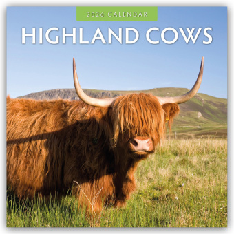 Highland Cows - Hochland Kühe 2026 - 16-Monatskalender