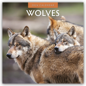 Wolves - Wölfe 2026 - 16-Monatskalender