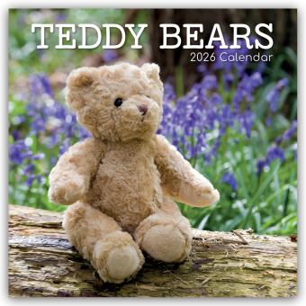 Teddy Bears - Teddybären 2026 - 16-Monatskalender