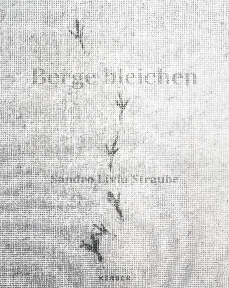 Sandro Livio Straube main product photo