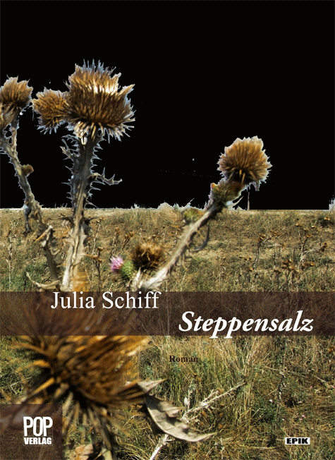Steppensalz main product photo