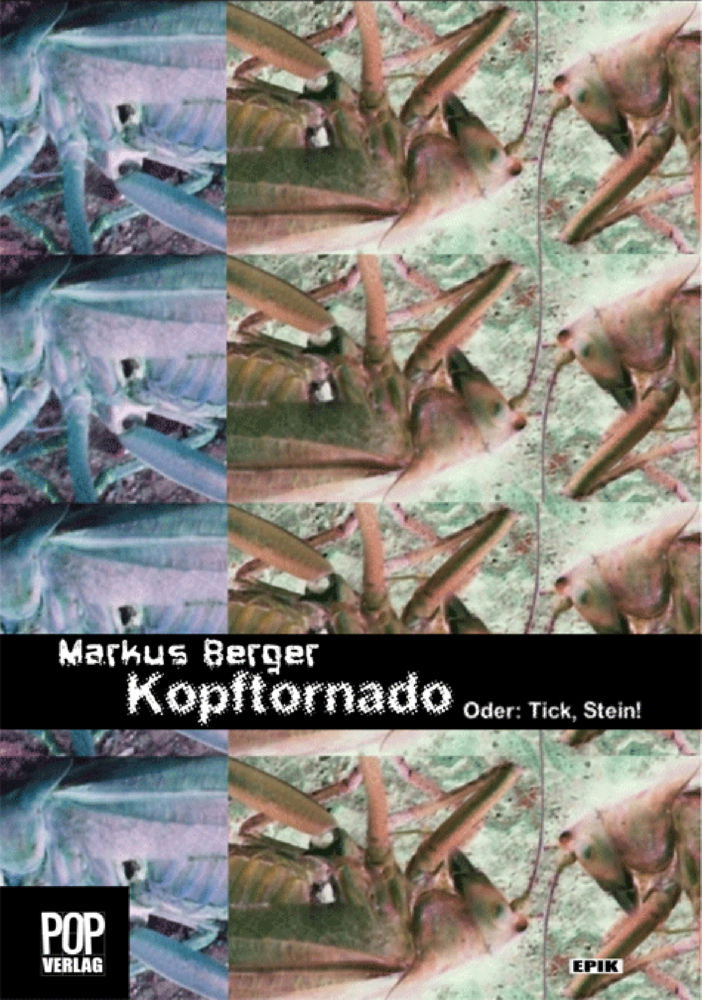 Kopftornado. Oder: Tick, Stein! main product photo