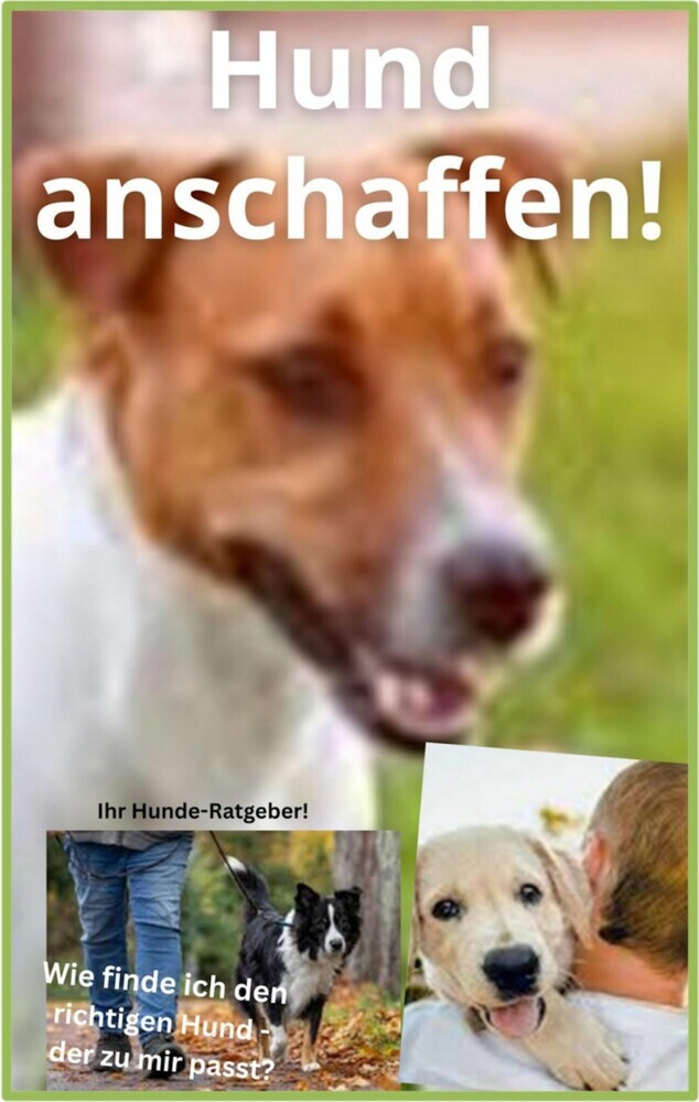 Hund anschaffen! main product photo