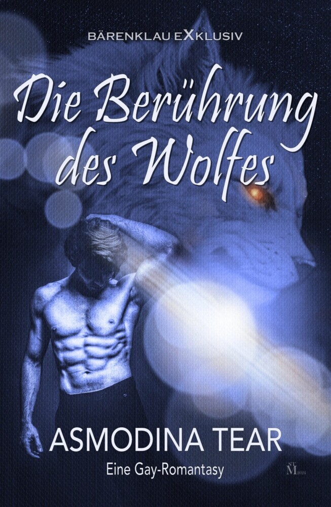 Die Berührung des Wolfes - Eine Gay-Romantasy main product photo