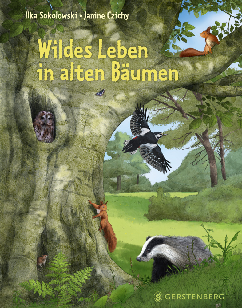 Wildes Leben in alten Bäumen main product photo