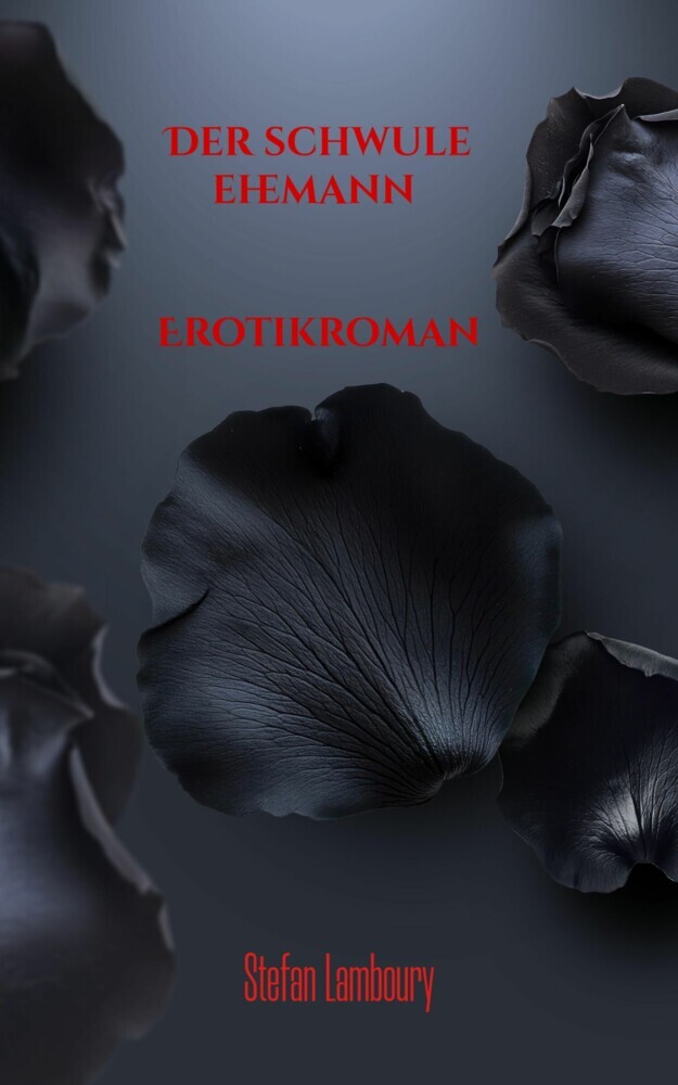 Der schwule Ehemann main product photo