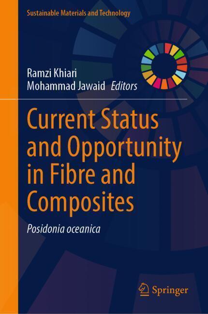 Current Status and Opportunity in Fibre and Composites main product photo