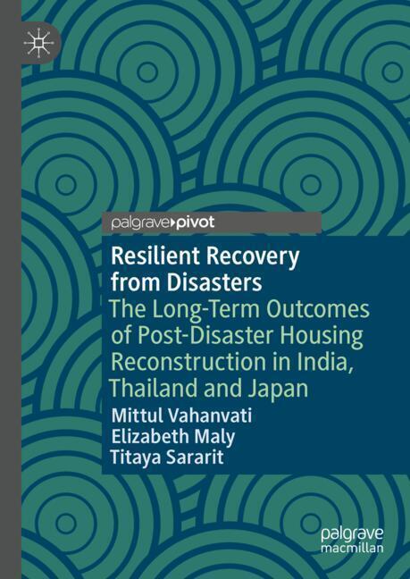 Resilient Recovery from Disasters main product photo