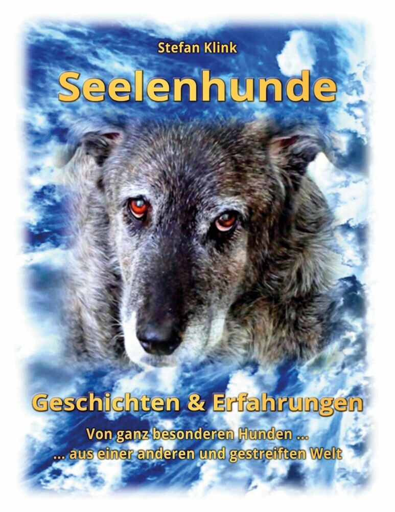 Seelenhunde main product photo