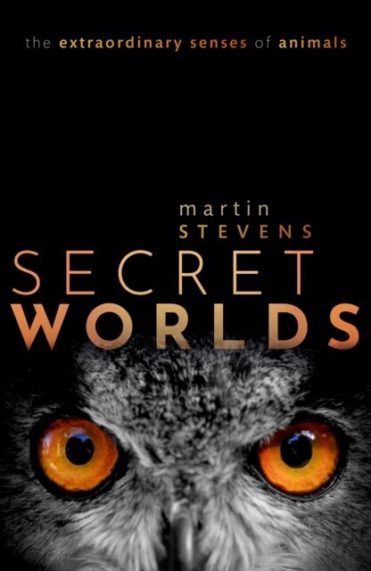 Secret Worlds main product photo