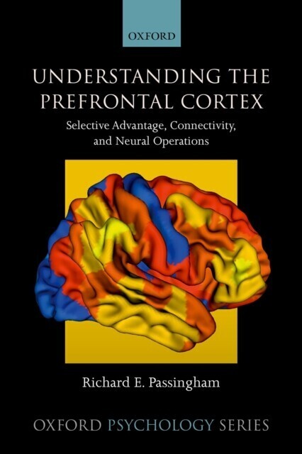 Understanding the Prefrontal Cortex main product photo