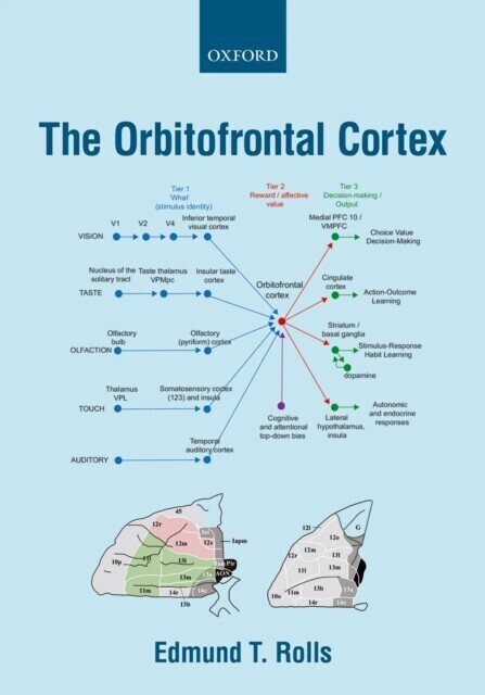 Orbitofrontal Cortex main product photo