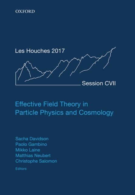 Effective Field Theory in Particle Physics and Cosmology main product photo