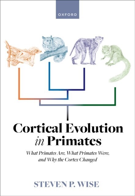 Cortical Evolution in Primates main product photo