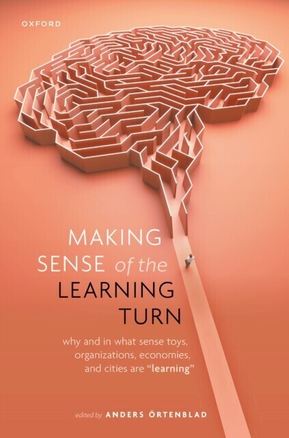 Making Sense of the Learning Turn main product photo