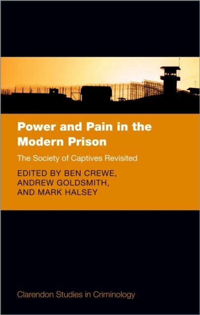 Power and Pain in the Modern Prison main product photo