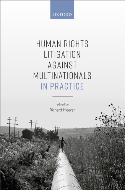 Human Rights Litigation against Multinationals in Practice main product photo