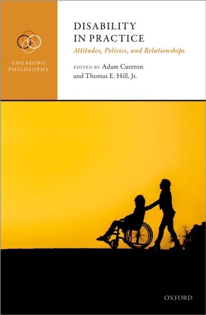 Disability in Practice main product photo