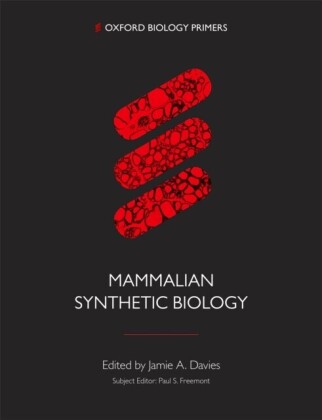 Mammalian Synthetic Biology