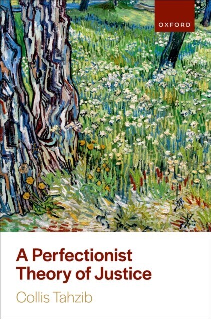 Perfectionist Theory of Justice main product photo