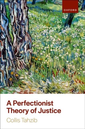 Perfectionist Theory of Justice