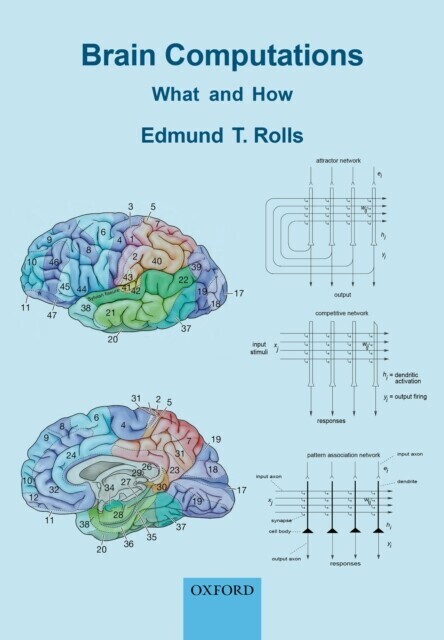 Brain Computations main product photo