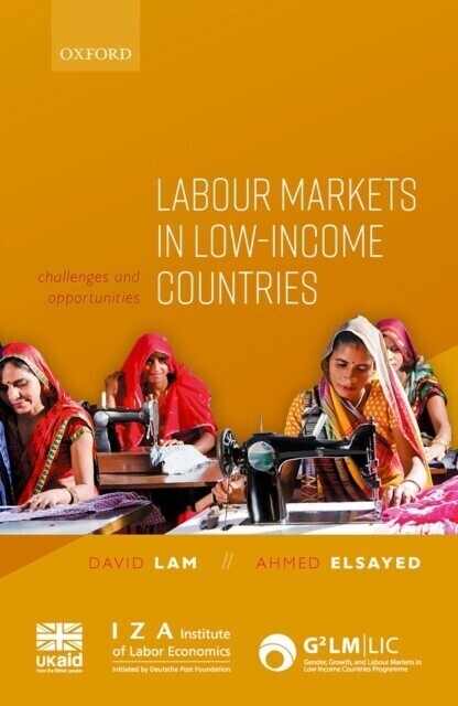 Labour Markets in Low-Income Countries main product photo