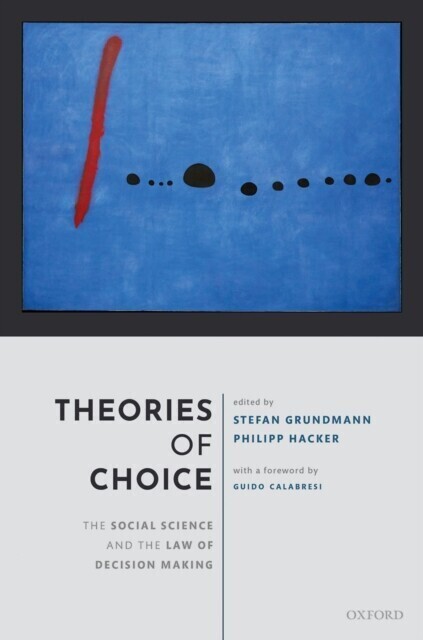 Theories of Choice main product photo