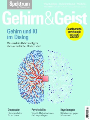 Gehirn&Geist 7/2025 Gehirn und KI im Dialog