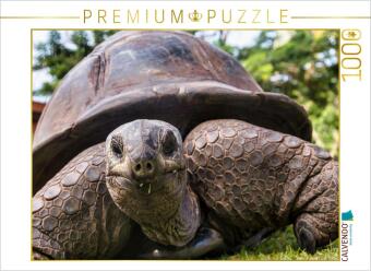 CALVENDO Puzzle Eine der über 300 Seychellen-Riesenschildkröten auf Curieuse | 1000 Teile Lege-Größe 64x48cm Foto-Puzzle für glückliche Stunden