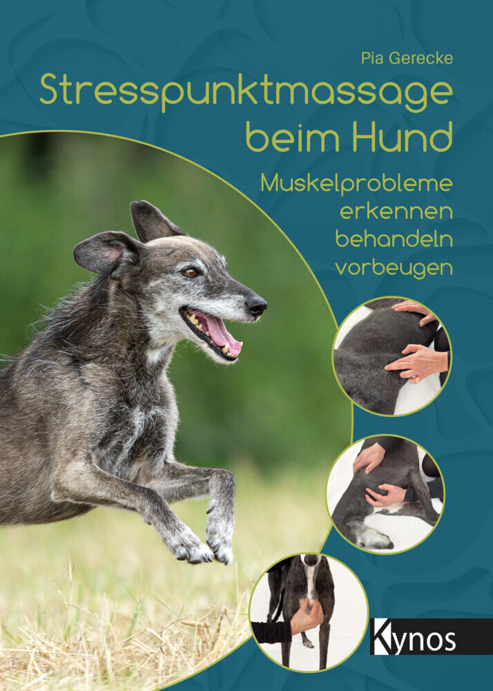 Stresspunktmassage beim Hund main product photo