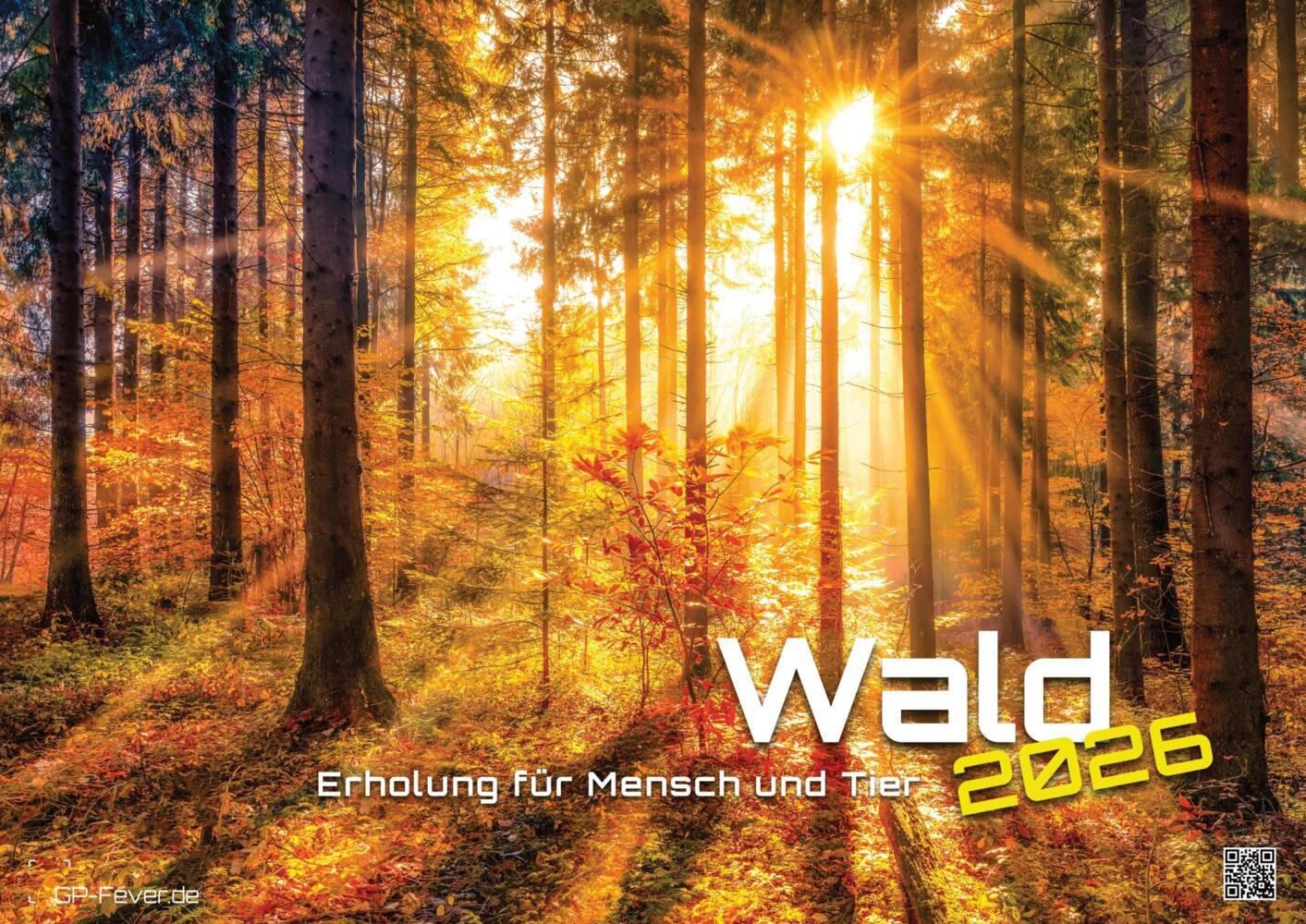Wald - Erholung für Mensch und Tier - 2026 - Kalender DIN A2 main product photo