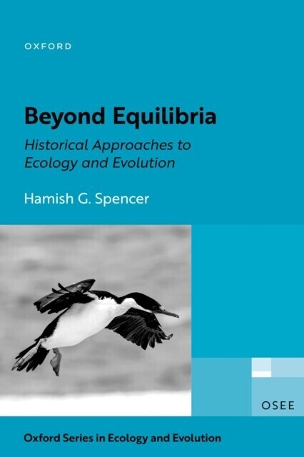 Beyond Equilibria main product photo