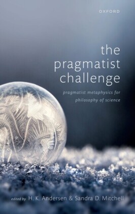 Pragmatist Challenge