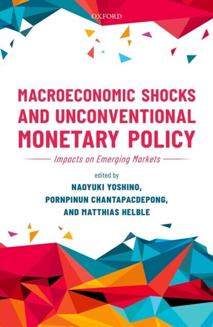 Macroeconomic Shocks and Unconventional Monetary Policy main product photo
