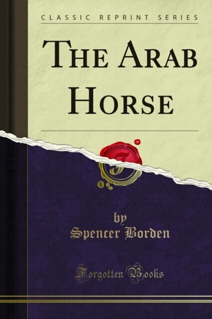 Arab Horse main product photo