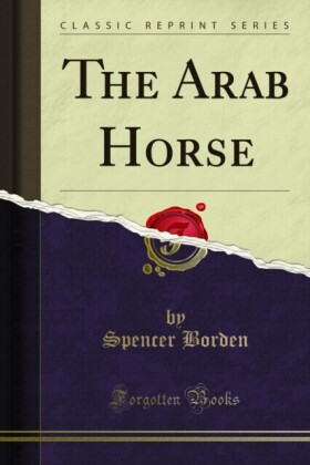 Arab Horse