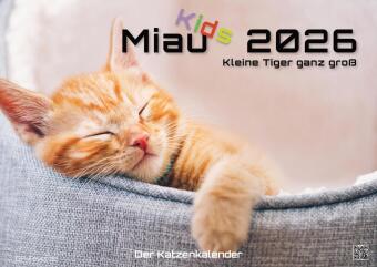Miau Kids - kleine Tiger ganz groß - Der Katzenkalender - 2026 - Kalender DIN A3