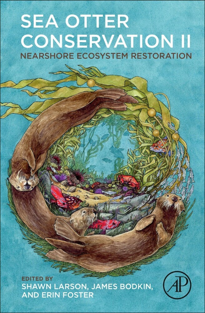 Sea Otter Conservation II main product photo