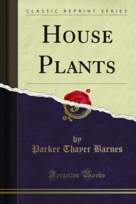 House Plants