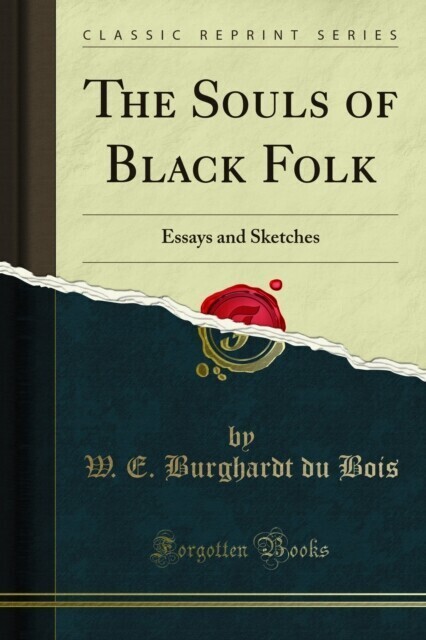 Souls of Black Folk main product photo