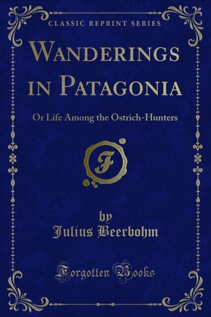 Wanderings in Patagonia main product photo