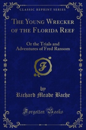 Young Wrecker of the Florida Reef