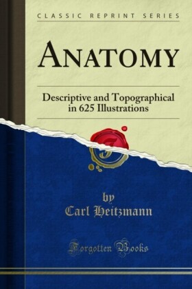 Anatomy