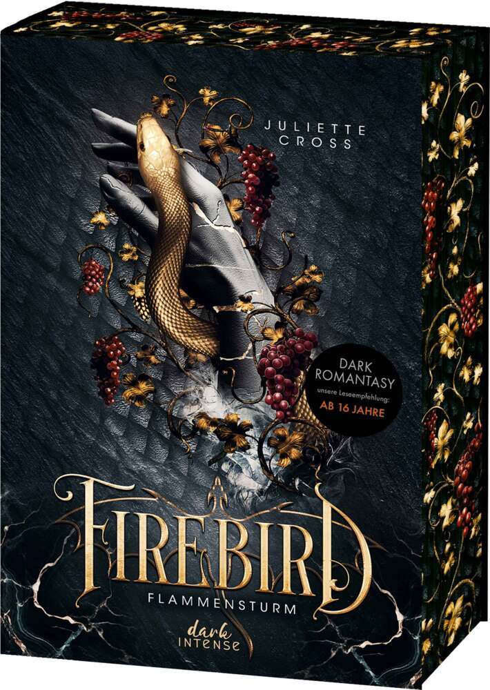 Firebird (Flammensturm, Band 1) main product photo