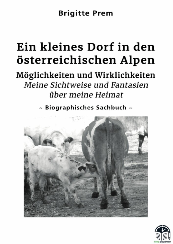 Ein kleines Dorf in den österreichischen Alpen main product photo