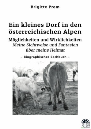 Ein kleines Dorf in den österreichischen Alpen
