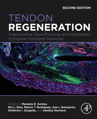 Tendon Regeneration