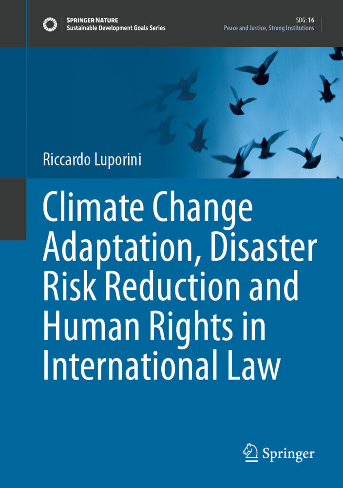 Climate Change Adaptation, Disaster Risk Reduction and Human Rights in International Law main product photo