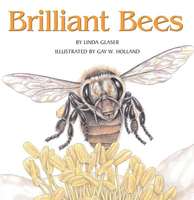 Brilliant Bees main product photo